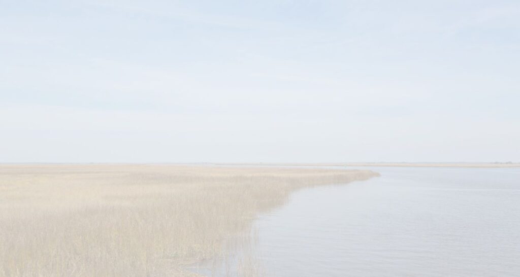 Faded background of Lowcountry marsh