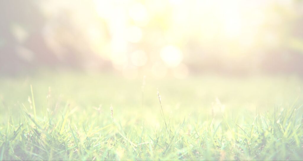 Background image of verdant grass